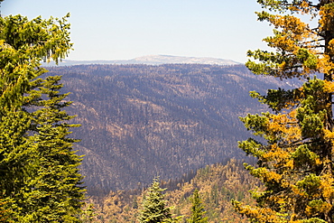 The King Fire that burned 97,717 acres of the El Dorado National Forest in California, USA. Following an unprecedented four year long drought, wild fires are much more common. Most of California is in exceptional drought, the highest level of drought classification. 428,000 acres of agricultural land have been taken out of production due to lack of water, thousands of agricultural workers have lost their jobs and one third of all children in California go to bed hungry.