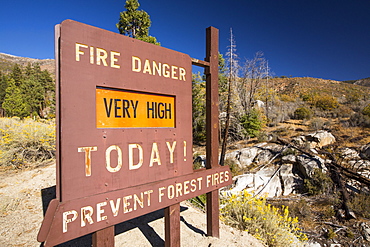 A fire danger sign next to forest that has been burnt by a fire in the Tule river area of the Sequoia National Forest, east of Porterville, California, USA. California is in the grip of a four year long exceptional drought, that has made wild fires much more frequent, as well as wiping $2.2 Billion annually off the agricultural sector.