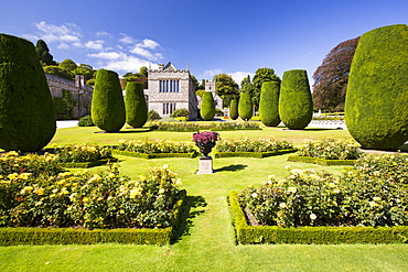 The formal gardens of Lanhydrock a country residence dating from the 1600's in Cornwall, UK.