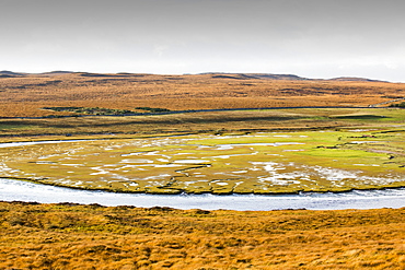 Deer Grass, coloured orange in the Autumn time below Stac Pollaidh in Assynt, North West Highlands, Scotland, UK, looking towards Rubha Coigeach, with salt marsh nad sand dunes on the coast.