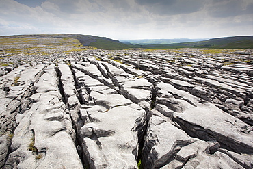 Limestone Pavement at Moughton above Helwith Bridge in the Yorkshire Dales, UK.