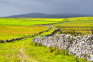 Mastiles Lane, an ancient green lane in the Yorkshire Dales, UK.