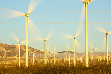 Part of the Tehachapi Pass wind farm, the first large scale wind farm area developed in the US, California, USA, at sunrise.