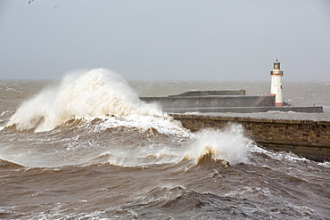 Whitehaven harbour being completely overwhelmed by huge waves during the January 2014 period of storm surge, high tides and storm force winds. The coastline took a battering, damaging the harbour wall and eroding a large section of coastal cliff.