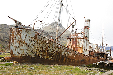 An abandoned whaling boat with a harpoon on its bow at the old whaling station at Grytviken on South Georgia. In its 58 years of operation, it handled 53,761 slaughtered whales, producing 455,000 tons of whale oil and 192,000 tons of whale meat.