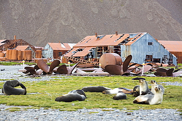 Stromness Whaling Station on South Georgia, it was operational until 1961, and wa the place where Sir Ernest Shackleton finally reached after his epic seas crossing and trek across south Georgia.