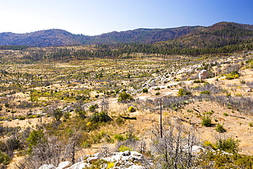 Wildfire damage in Yosemite National Park, California, USA. Most of California is in exceptional drought, the highest classification of drought, which has lead to an increasing number of wild fires.