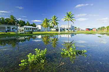 Sea water incursion onto Funafuti Atoll the main island, as global warming induced sea level rise threatens to flood these low lying islands, Funafuti, Tuvalu, Pacific