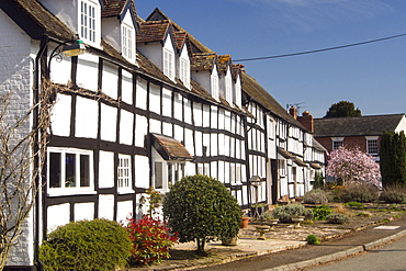 An ancient medieval Tudor timber framed house in Dilwyn, Herefordshire, UK.