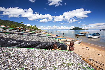 Fish drying racks drying a catch of small fish at Cape Maclear on the shores of Lake Malawi, Malawi, Africa.