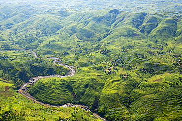 Looking down on deforested forest slopes from the air, being replaced by farmland for subsistence agriculture in Malawi. The country is suffering rapid deforestation, to provide both land for farming, and for making charcoal, the main cooking fuel in malawi.