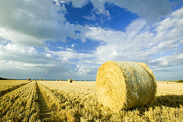 Straw bales in a field in Kelling, Norfolk, England, United Kingdom, Europe