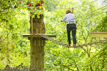 A woman on the the Go Ape aerial challenge in Grizedale Forest in Cumbria, England, United Kingdom, Europe