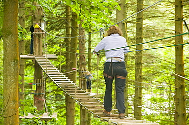 A woman on the the Go Ape aerial challenge in Grizedale Forest in Cumbria, England, United Kingdom, Europe