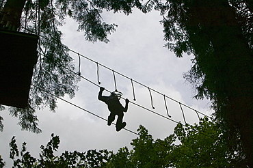 A woman on the the Go Ape aerial challenge in Grizedale Forest in Cumbria, England, United Kingdom, Europe