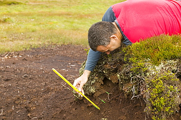 A scientist looking at peat erosion in the north Pennines, Cumbria, England, United Kingdom, Europe