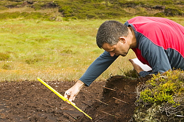 A scientist looking at peat erosion in the north Pennines, Cumbria, England, United Kingdom, Europe