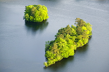 Islands in Rydal Water in the Lake District National Park, Cumbria, England, United Kingdom, Europe