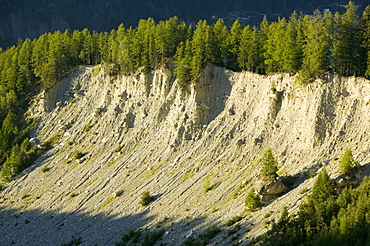 Moraine deposited by the rapidly rretreating Bossons glacier in Chamonix, Haute Savoie, France, Europe