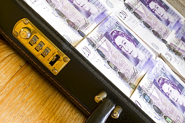 Â£20 notes in a briefcase