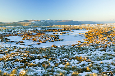 A frozen tarn on Red Screes in the Lake District National Park, Cumbria, England, United Kingdom, Europe