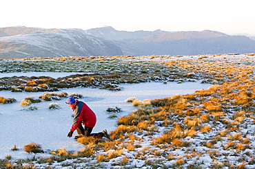 A walker on a frozen tarn on Red Screes in the Lake District National Park, Cumbria, England, United Kingdom, Europe