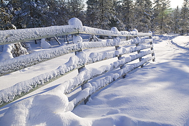 Winter in Saariselka, Lapland, Northern Finland, Finland, Scandinavia, Europe