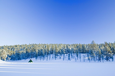 Winter in Saariselka, Lapland, Northern Finland, Finland, Scandinavia, Europe