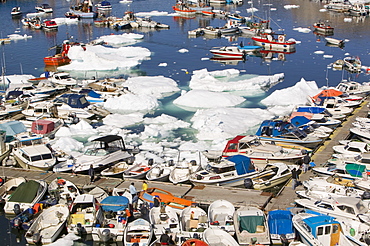 Inuit boats and icebergs in Ilulissat harbour, UNESCO World Heritage Site, Greenland, Polar Regions