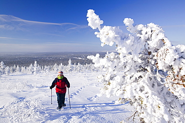 A woman snow shoeing in the Urho Kehkkosen National Park near Saariselka, Northern Finland, Finland, Scandinavia, Europe