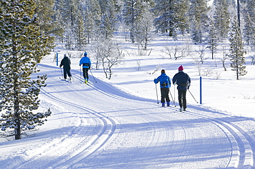 Cross country skiing near Saariselka, Northern Finland, Scandinavia, Europe