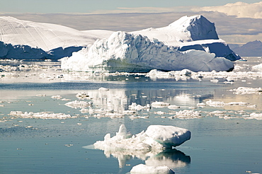 Icebergs from the Jacobshavn Glacier (Sermeq Kujalleq), Greenland, Polar Regions