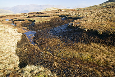 Peat deposits in the Lake District, Cumbria, England, United Kingdom, Europe