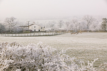 A heavy hoar frost near Clitheroe, Lancashire, England, United Kingdom, Europe