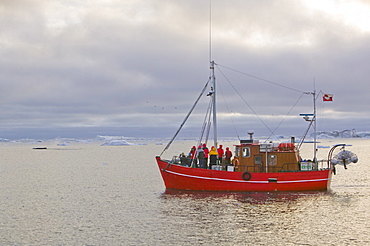 Tourist boat sailing through icebergs from the Jacobshavn Glacier (Sermeq Kujalleq), Greenland, Polar Regions