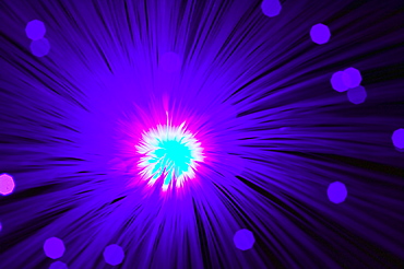 A fibre optic light