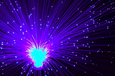 A fibre optic light