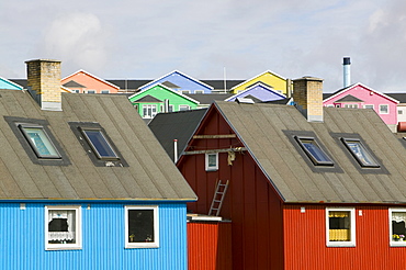 Colourful houses in Ilulissat on Greenland, Polar Regions