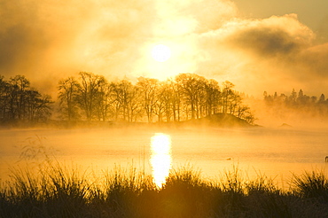 A misty dawn on Lake Windermere in the Lake District, Cumbria, England, United Kingdom, Europe