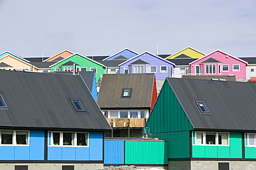 Colourful houses in Ilulissat on Greenland, Polar Regions