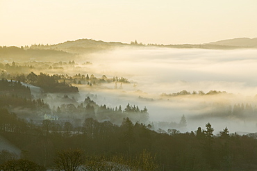 Valley mist over Windermere at dawn in the Lake District National Park, Cumbria, England, United Kingdom, Europe