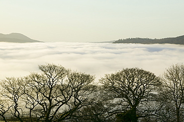 Valley mist over Windermere at dawn in the Lake District National Park, Cumbria, England, United Kingdom, Europe