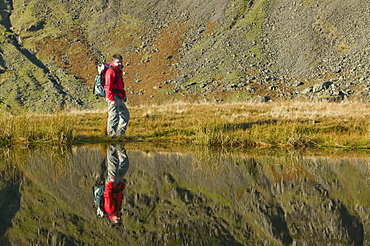 A walker reflected in a Lake District tarn, Langdale Valley, Lake District National Park, Cumbria, England, United Kingdom, Europe