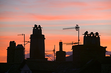 Sunset over chimney pots in Ambleside, Lake District, Cumbria, England, United Kingdom, Europe