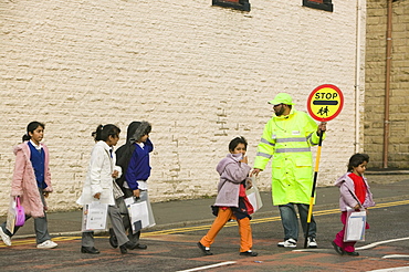 Asian children in Burnley crossing the road with the help of a lollipop man, Burnley, Lancashire, England, United Kingdom, Europe