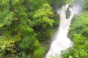 Stockghyll Force in full flood in summer Ambleside, Lake District, Cumbria, England, United Kingdom, Europe