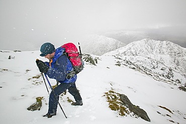 A hill walker in a blizzard on the Scottish mountains, Scotland, United Kingdom, Europe