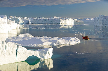 Tourist boat sailing through icebergs from the Jacobshavn Glacier (Sermeq Kujalleq) at midnight, Greenland, Polar Regions