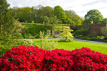 Holehird Gardens, Windermere, Lake District, Cumbria, England, United Kingdom, Europe