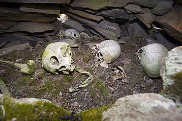 A human Inuit skull in a stone chambered cairn, an ancient grave at least 2000 years old, in Ilulissat in Greenland, Polar Regions